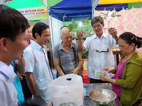 Khai mạc Phiên chợ Sâm Ngọc Linh lần đầu tiên tại Quảng Nam