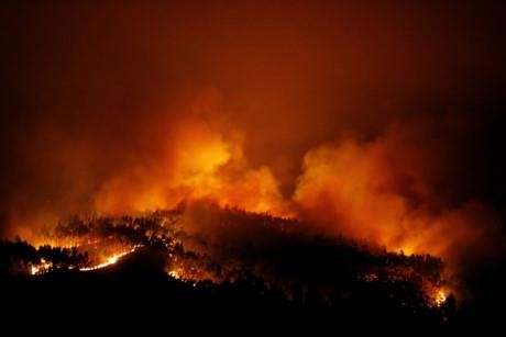 越南国家主席陈大光就葡萄牙中部森林火灾向葡总统马塞洛致慰问电