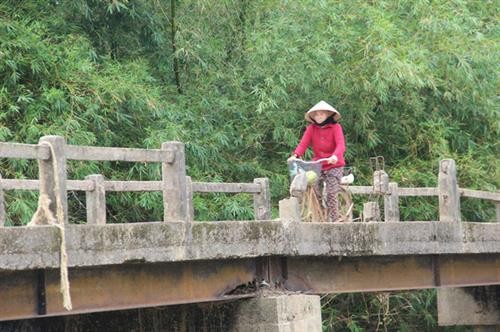 Nỗi lo trên những cây cầu dân sinh xuống cấp ở vùng rốn lũ Quảng Trị