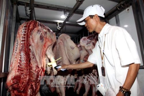 Thành phố Hồ Chí Minh đề xuất tăng mức xử phạt đối với hành vi tiêm thuốc an thần cho lợn