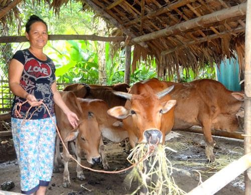 Nông dân miền núi Thanh Sơn thoát nghèo nhờ “Ngân hàng bò”