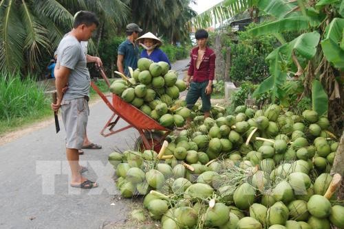 越南槟椥省的主要商品出口额保持良好增长势头