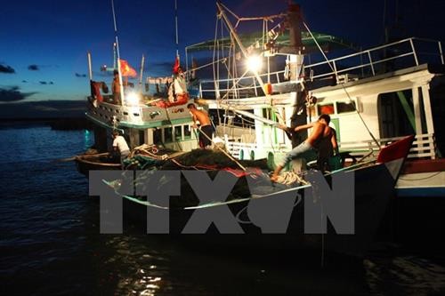 年初至今坚江省海洋捕捞产量达41.1万吨