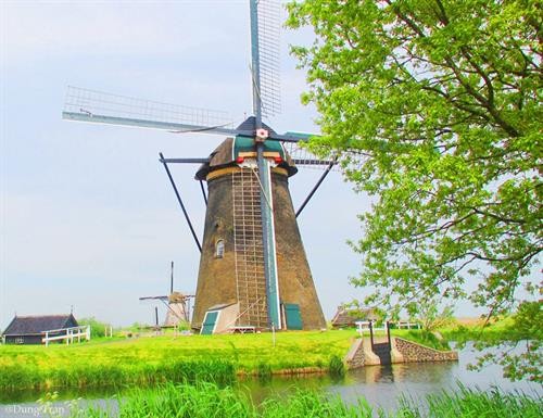 Những trải nghiệm thú vị ở Hà Lan - đất nước thiên đường