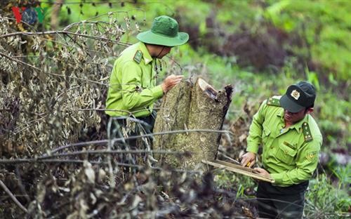 Điện Biên: Khó khăn trong công tác quản lý, bảo vệ rừng đặc dụng Mường Phăng