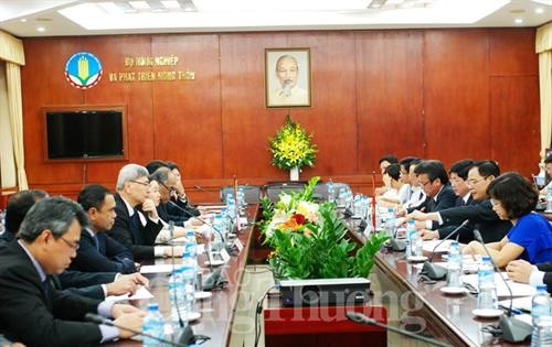 越南可能成为国际三方橡胶理事会成员