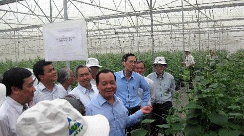 Thành phố Hồ Chí Minh nâng tỷ trọng ứng dụng công nghệ cao trong nông nghiệp