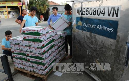 Tạo đà cho rau củ, quả tươi Việt Nam xuất sang thị trường EU