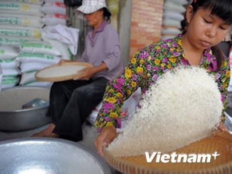 柬埔寨大米出口量继续增加