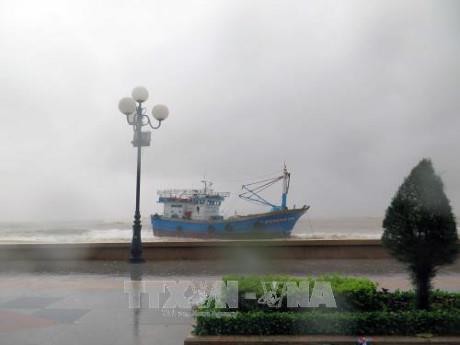 Các tỉnh, thành phố ven biển từ Thanh Hóa đến Khánh Hòa chủ động ứng phó với bão số 13