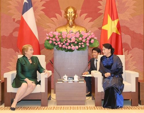 越南国会主席阮氏金银会见智利总统米歇尔·巴切莱特·赫里亚