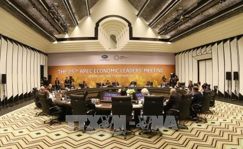 Khai mạc Hội nghị các nhà lãnh đạo kinh tế APEC lần thứ 25