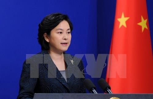 中国外交部发言人华春莹：中国将尽快向越南提供所需援助物资