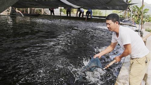 Bát Xát: Phát triển nuôi cá nước lạnh gắn với bảo vệ môi trường