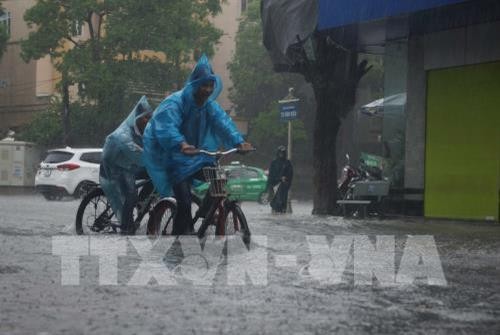 Trung Bộ, Tây Nguyên và Nam Bộ có mưa và dông, Nam Biển Đông đề phòng lốc xoáy, gió giật