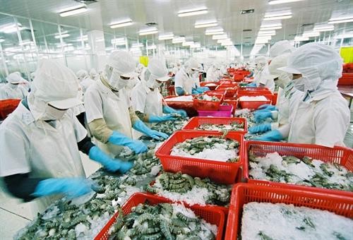 越南虾类对韩国出口增长29.8%