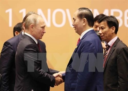 2017年APEC会议：树立越南在俄罗斯对亚太地区政策中地位的主要因素