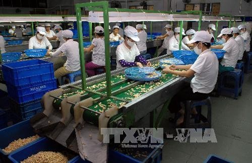 Giải pháp giúp nông sản Việt Nam vượt qua hàng rào kỹ thuật xuất khẩu