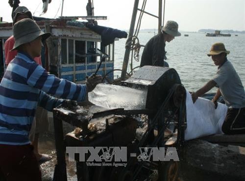 Luật Thủy sản (sửa đổi): Đã luật hóa những cam kết của Việt Nam về IUU