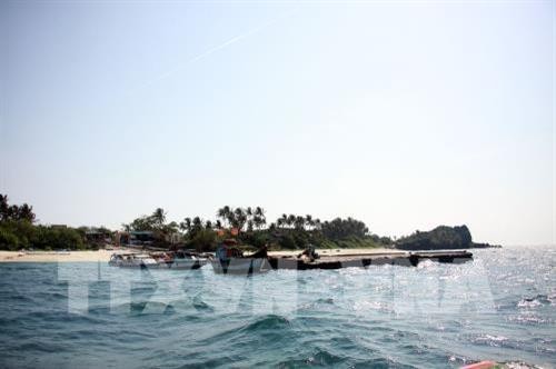 Nâng cao hiệu quả công tác bảo tồn biển Việt Nam (Bài 1)
