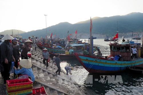 Xuất khẩu tôm mở ra nhiều cơ hội cho ngư dân Hà Tĩnh