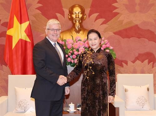 越南国会主席阮氏金银会见澳大利亚驻越大使克雷格•奇蒂克