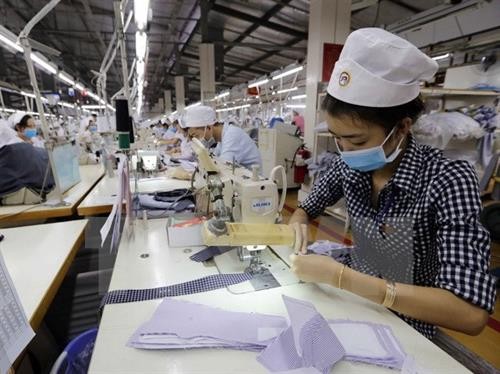 今年前11月越南新注册成立企业11.6万多家
