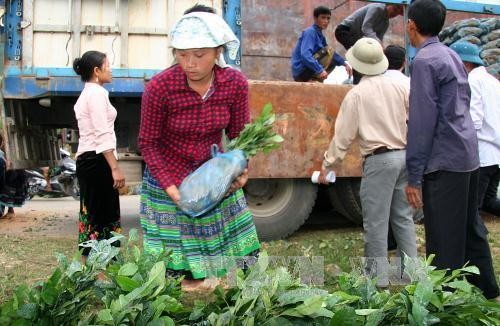 Hỗ trợ sản xuất để đồng bào dân tộc Lai Châu thoát nghèo