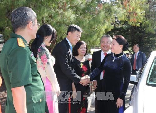 阮氏金银会见越南驻澳大使馆工作人员与旅澳越南人代表