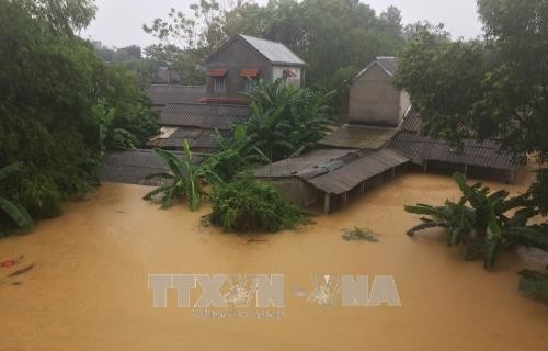 强台风“达维”造成越南44人死亡19人失踪 经济损失惨重
