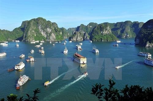 致力解决阻止越南旅游业发展的障碍