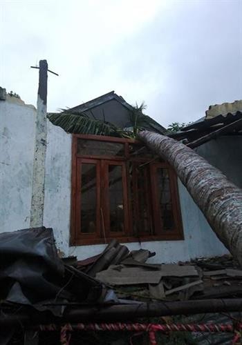 Ngành ngân hàng hỗ trợ các tỉnh chịu thiệt hại do bão số 12