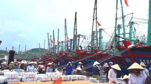 Nghệ An đầu tư nâng cấp các cảng cá, bến cá