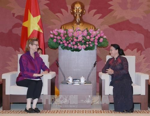 国会主席阮氏金银会见联合国开发计划署驻越南首席代表维森