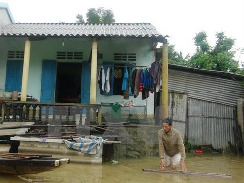 欧盟愿意帮助越南开展台风灾后恢复重建工作