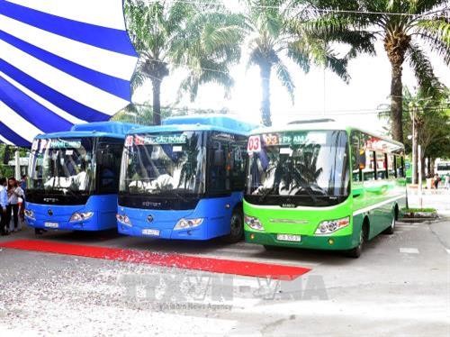 Thành phố Hồ Chí Minh khai trương 3 tuyến xe buýt kiểu mẫu