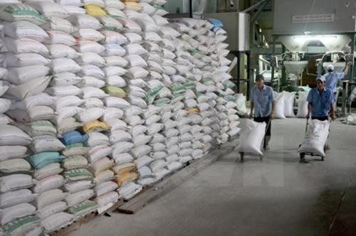今年前11月柬埔寨大米出口量同比增长17%