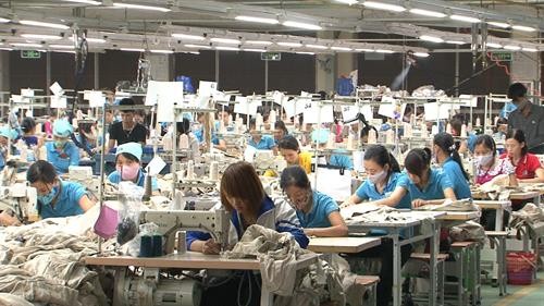 2017年越南纺织品服装出口额有望达310亿美元