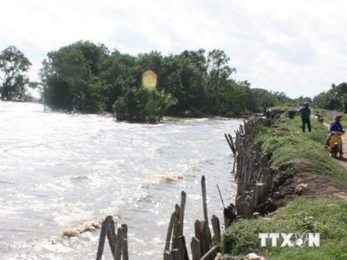 Phát triển Đồng bằng sông Cửu Long thích ứng với biến đổi khí hậu