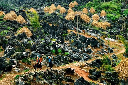 越南推进同文岩石高原旅游发展
