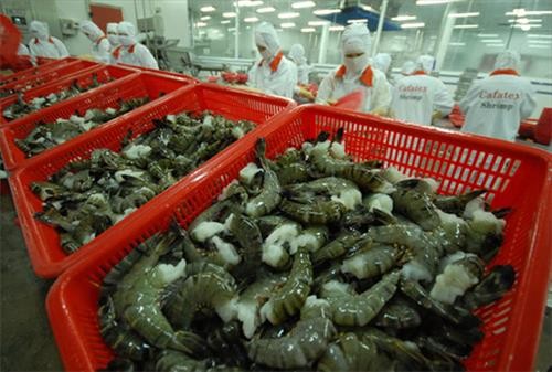 EVFTA生效后越南对欧盟的虾类出口将骤增