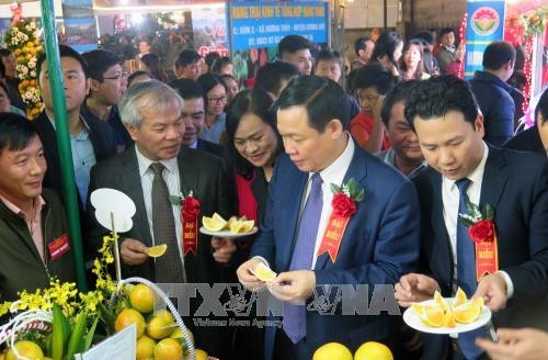 Lễ hội Cam và các sản phẩm nông nghiệp Hà Tĩnh lần thứ nhất năm 2017