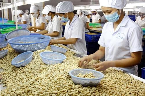 越南对美国的贸易顺差额约达270亿美元
