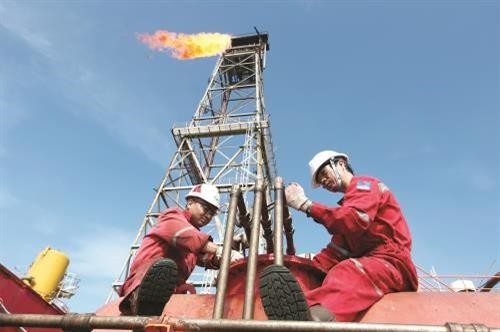 越南石油勘探开采总公司提前完成全年既定目标