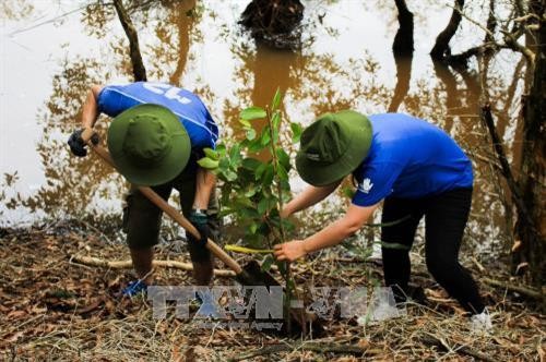 Trồng thêm 7.000 cây xanh ở Khu Bảo tồn đất ngập nước Láng Sen