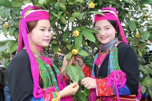 Lễ hội " Bình Liêu - Mùa hoa Sở" và "Rực rỡ Trà hoa vàng" ở Quảng Ninh