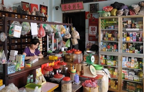Thành phố Hồ Chí Minh phát triển phố Đông y thành điểm đến hấp dẫn khách du lịch