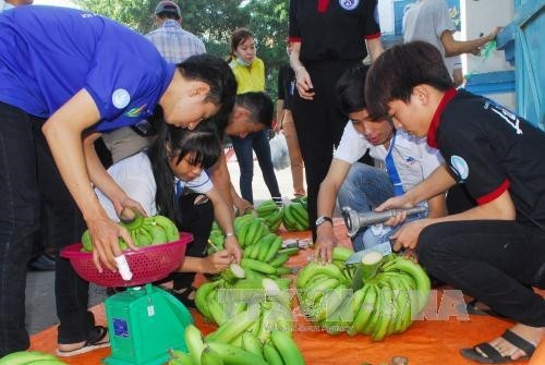 Tuổi trẻ Thành phố Hồ Chí Minh hỗ trợ tiêu thụ sản phẩm cho nông dân Đồng Nai