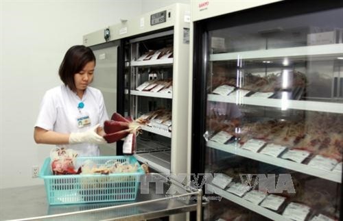 Kỷ niệm Ngày Thầy thuốc Việt Nam 27/2: Hồng cầu lắng đông lạnh - phương pháp dự trữ nguồn máu hiếm mới