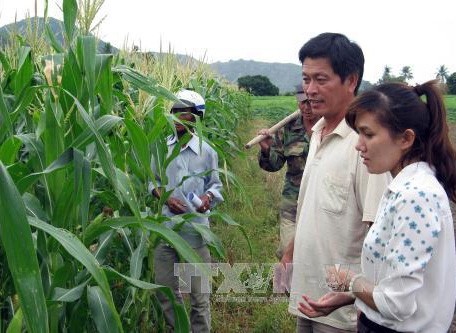 APEC 2017: Ưu tiên về an ninh lương thực và nông nghiệp thích ứng với biến đổi khí hậu